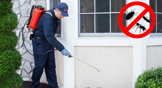 Bayındır Hamam Böceği İlaçlama böcek ilaçlama ve haşere kontrolü — ilaclama-tr.com